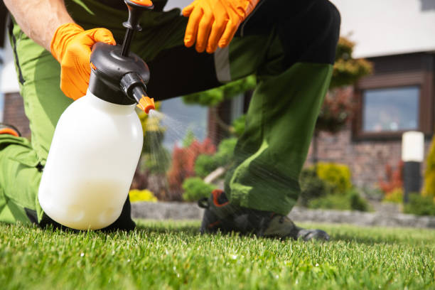Best Commercial Pest Control Services  in Griggsvle, IL