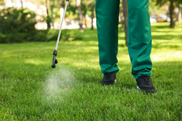 Best Ant Control Services  in Griggsvle, IL