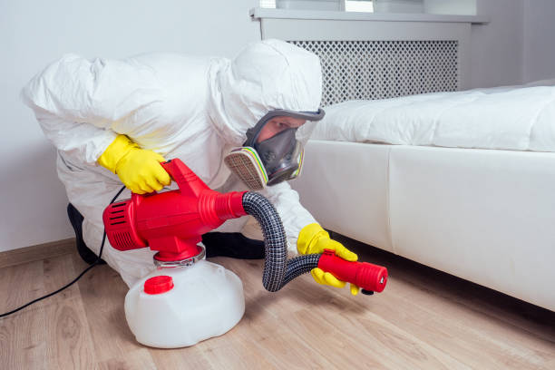 Best Wasp Removal Services  in Griggsvle, IL