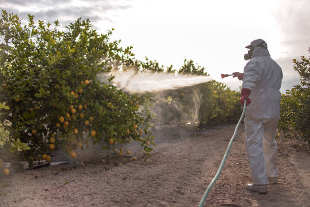 Best Residential Pest Control  in Griggsvle, IL