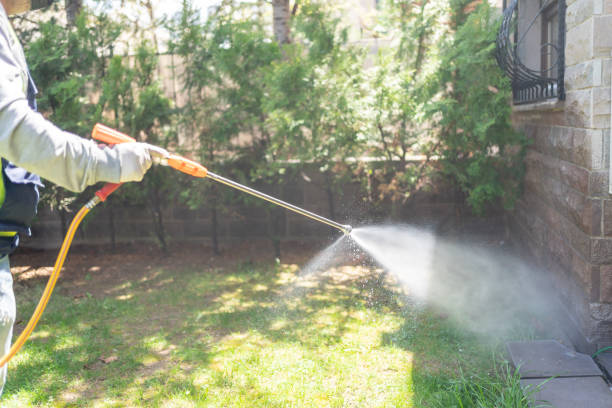 Best Pest Control for Businesses  in Griggsvle, IL