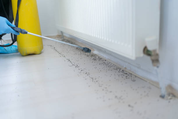 Best Mosquito Control Services  in Griggsvle, IL