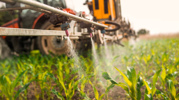 Best Insect Control  in Griggsvle, IL
